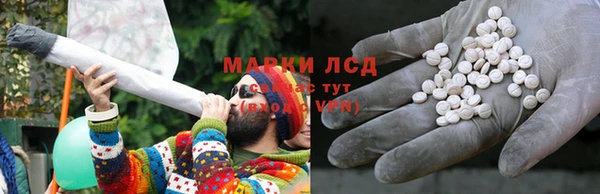 хмурый Алексин
