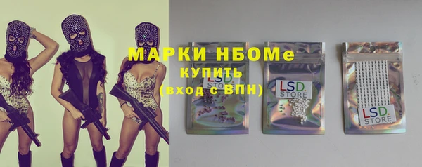хмурый Алексин