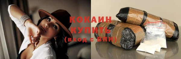 соль ск Алзамай