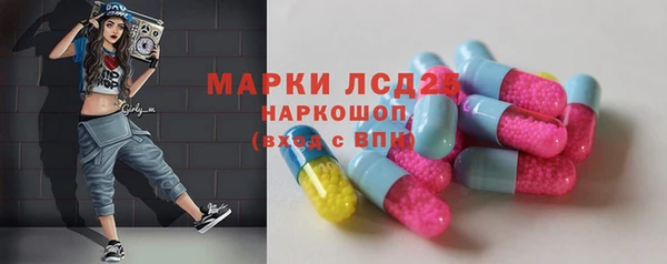 хмурый Алексин