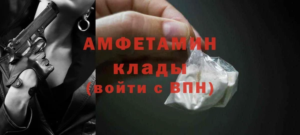 хмурый Алексин