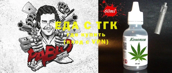 хмурый Алексин