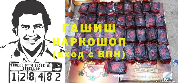 хмурый Алексин