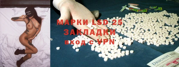 хмурый Алексин