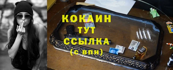 соль ск Алзамай