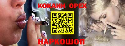 гашик Дубна