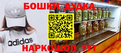 гашик Дубна