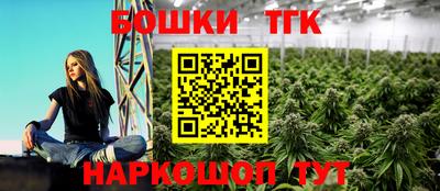 гашик Дубна