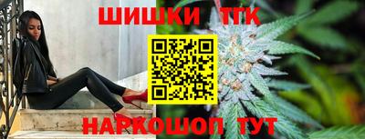 гашик Дубна