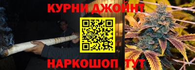 гашик Дубна
